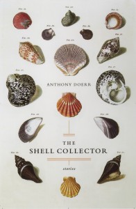 shellcollector-668x1024